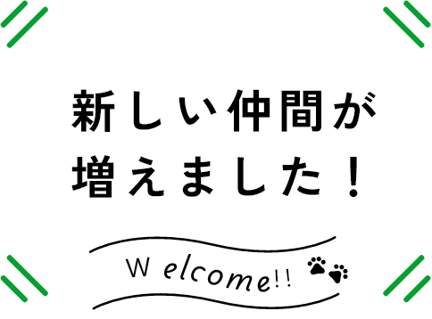 新しい仲間が増えました！