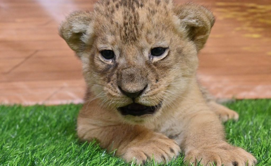 202506281023121-1024x683-1-