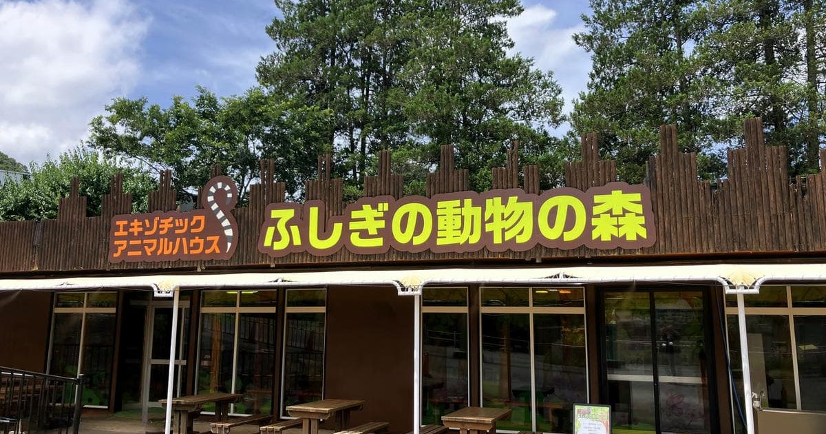 新ふれあい施設「ふしぎの動物の森」が7月18日にオープン！ | 野生の