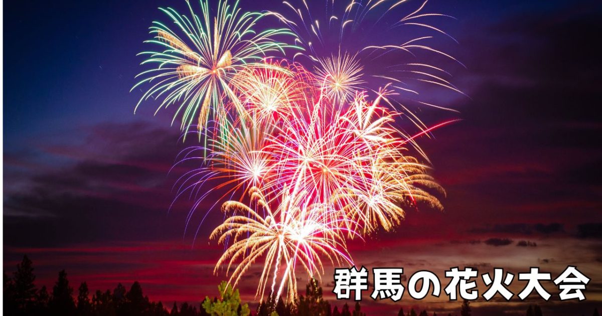 群馬サファリパークは地域の花火大会を応援しています | 野生の王国