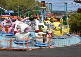 遊園地 野生の王国 群馬サファリパーク