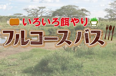 エサやりバスに乗ろう 野生の王国 群馬サファリパーク