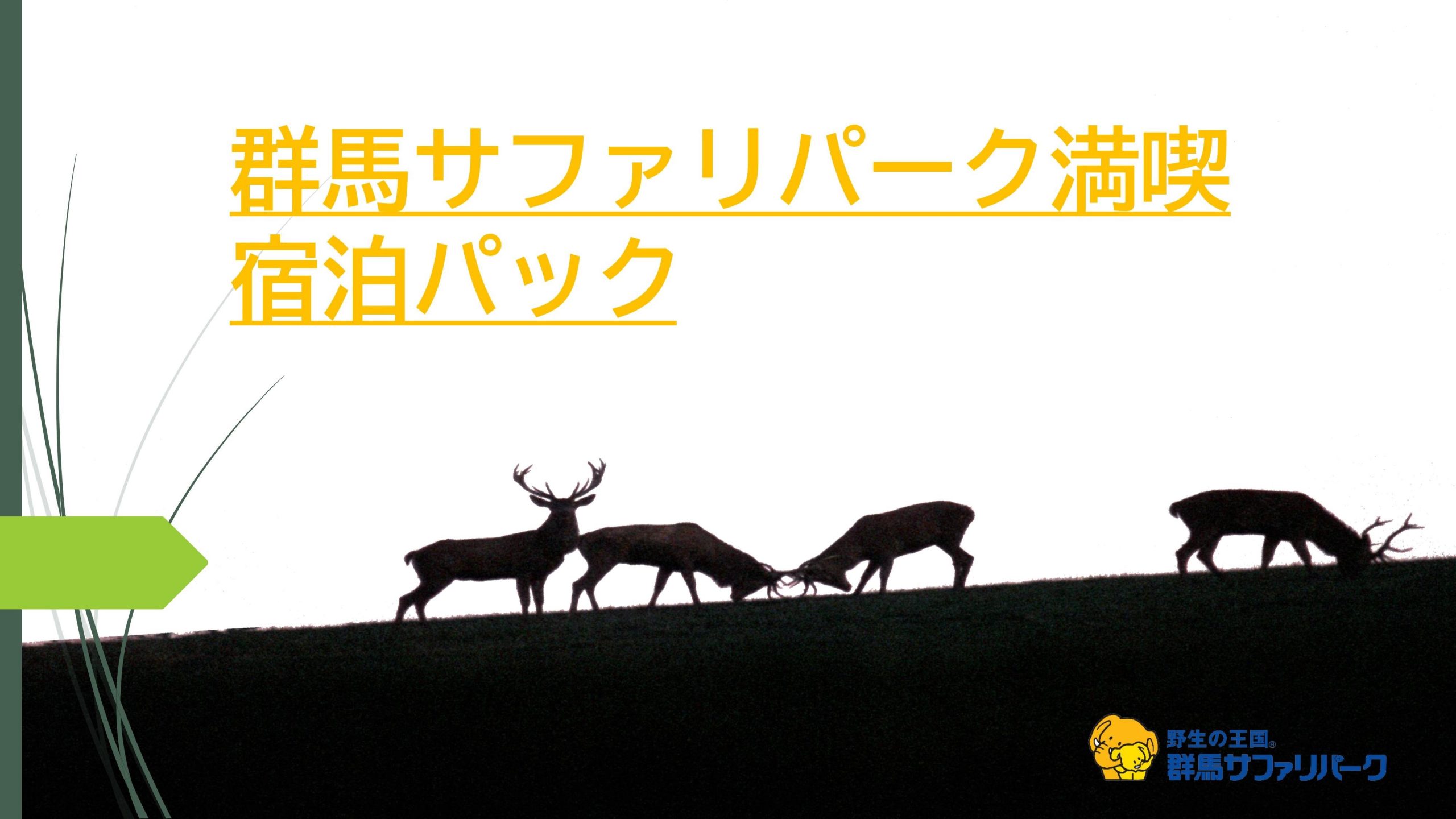 群馬サファリパーク満喫宿泊パック新登場 野生の王国 群馬サファリパーク